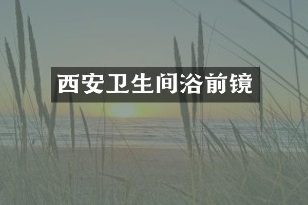 西安卫生间浴前镜