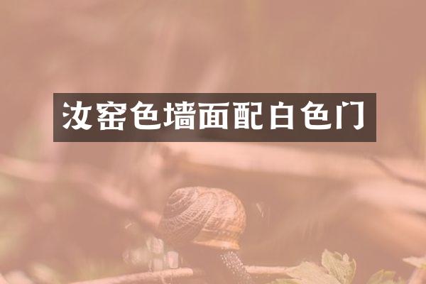 汝窑色墙面配白色门
