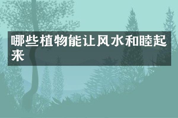 哪些植物能让风水和睦起来