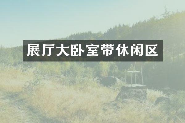 展厅大卧室带休闲区