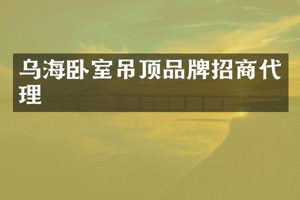 乌海卧室吊顶品牌招商代理