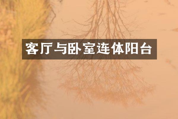 客厅与卧室连体阳台