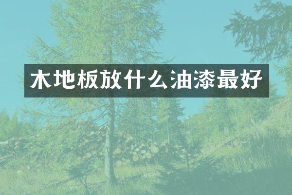 木地板放什么油漆最好