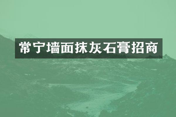 常宁墙面抹灰石膏招商
