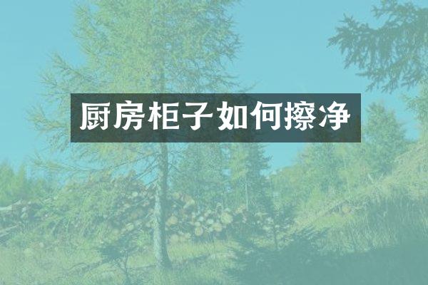厨房柜子如何擦净