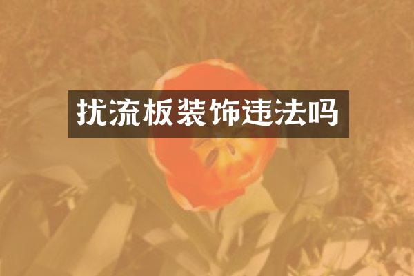 扰流板装饰违法吗