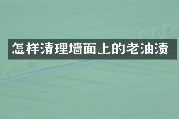 怎样清理墙面上的老油渍