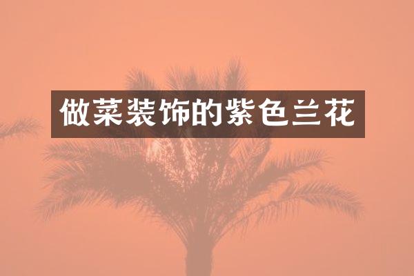 做菜装饰的紫色兰花