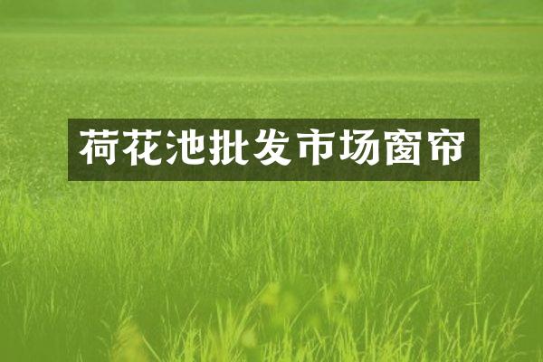 荷花池批发市场窗帘