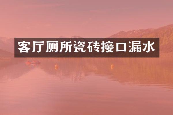 客厅厕所瓷砖接口漏水