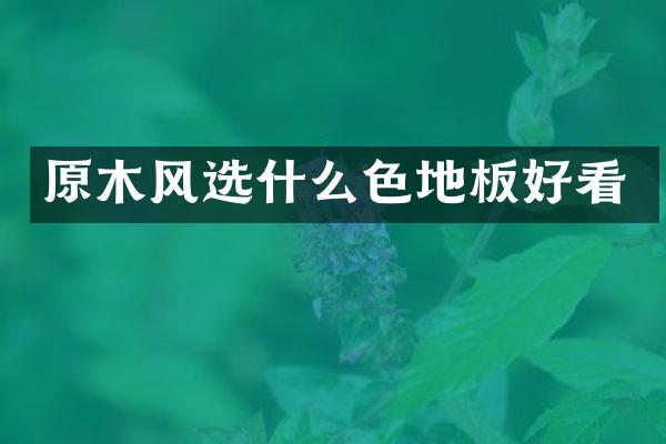原木风选什么色地板好看