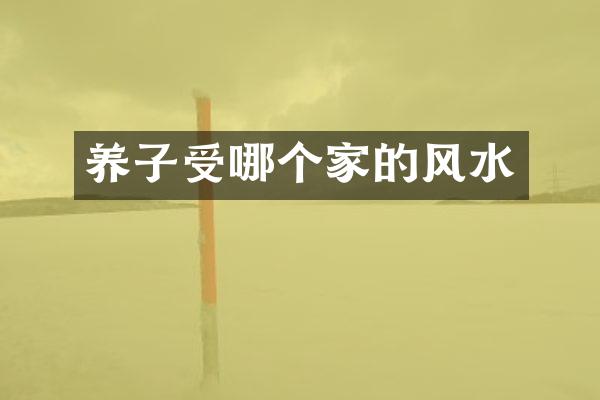 养子受哪个家的风水