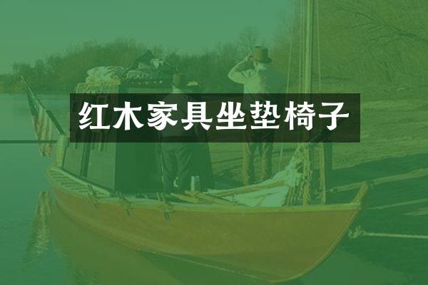 红木家具坐垫椅子