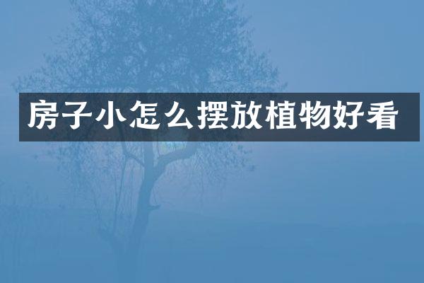 房子小怎么摆放植物好看