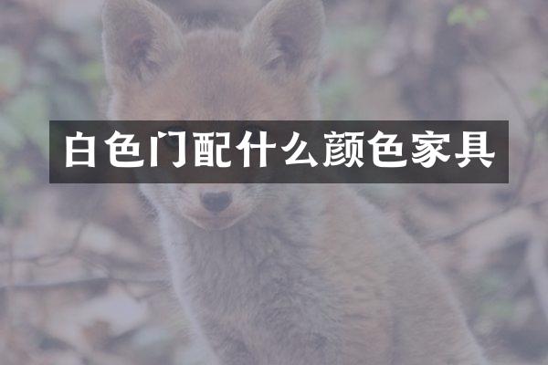 白色门配什么颜色家具