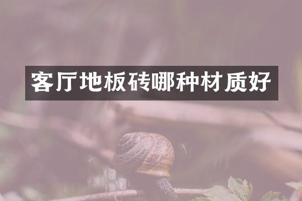 客厅地板砖哪种材质好