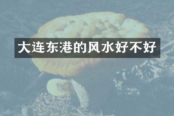 大连东港的风水好不好