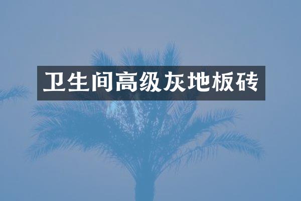 卫生间高级灰地板砖