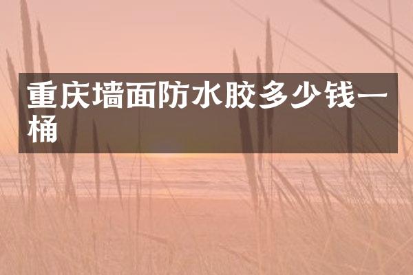 重庆墙面防水胶多少钱一桶