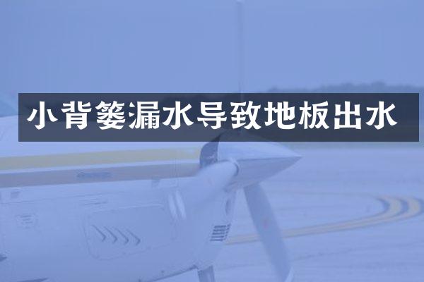 小背篓漏水导致地板出水