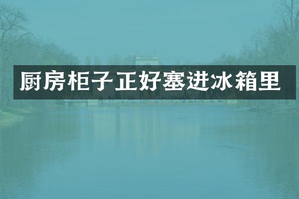 厨房柜子正好塞进冰箱里