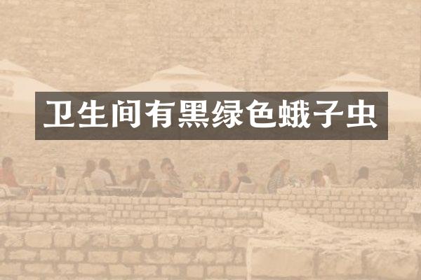 卫生间有黑绿色蛾子虫