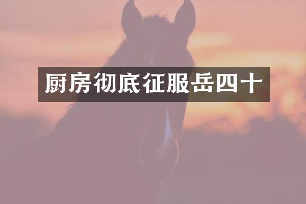 厨房彻底征服岳四十