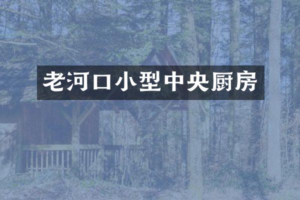 老河口小型中央厨房