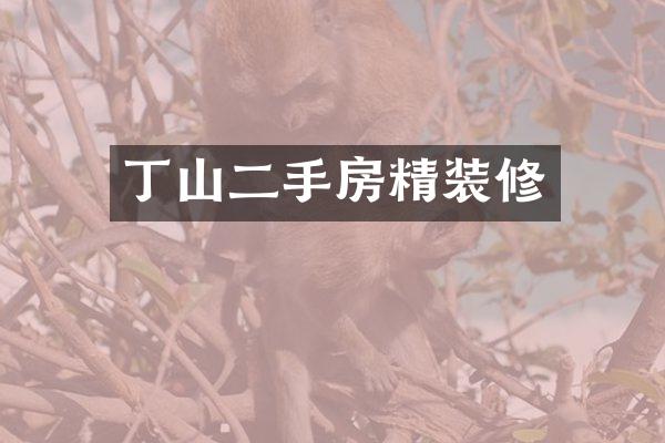 丁山二手房精装修