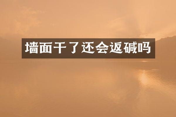 墙面干了还会返碱吗
