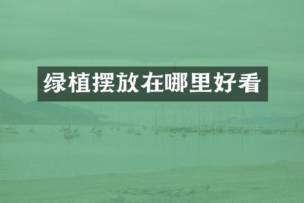 绿植摆放在哪里好看
