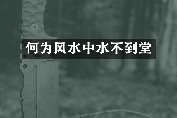 何为风水中水不到堂