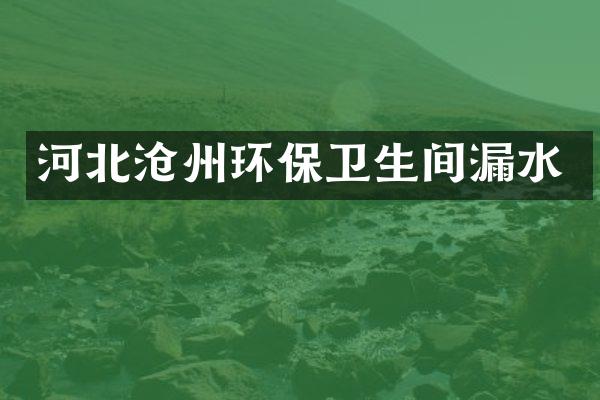 河北沧州环保卫生间漏水