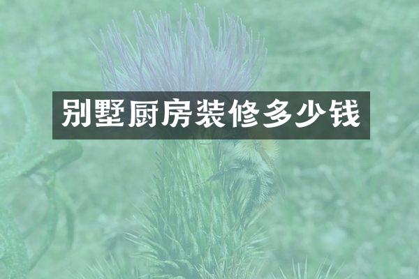 别墅厨房装修多少钱