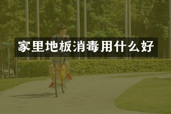 家里地板消毒用什么好