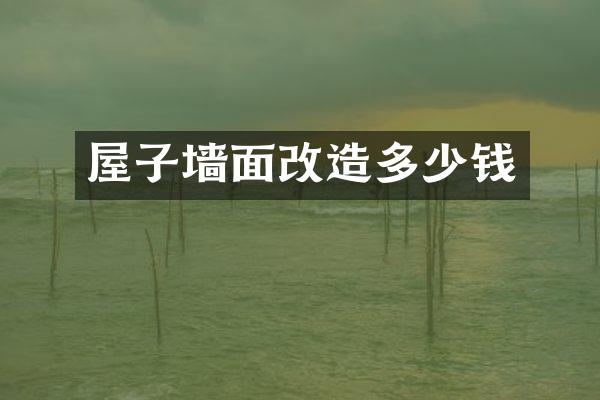 屋子墙面改造多少钱
