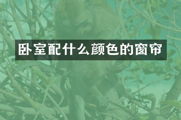 卧室配什么颜色的窗帘