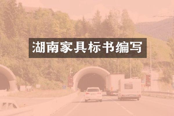湖南家具标书编写