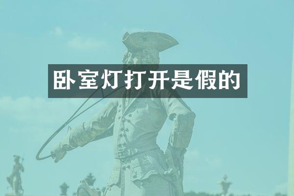 卧室灯打开是假的