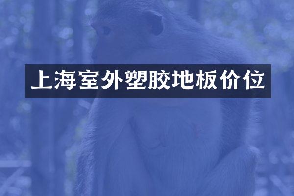 上海室外塑胶地板价位