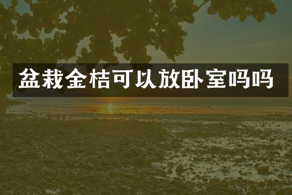 盆栽金桔可以放卧室吗吗