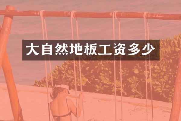 大自然地板工资多少