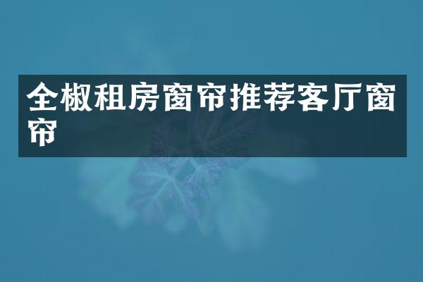 全椒租房窗帘推荐客厅窗帘