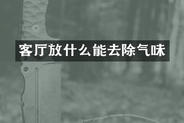客厅放什么能去除气味