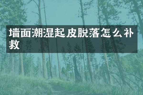 墙面潮湿起皮脱落怎么补救