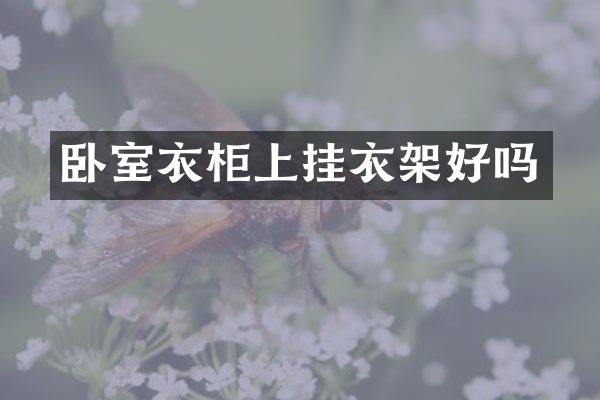 卧室衣柜上挂衣架好吗