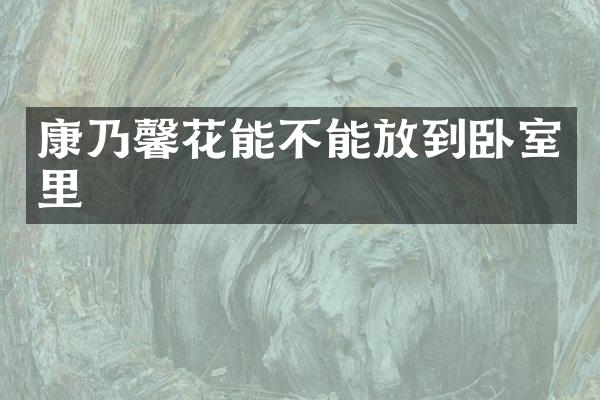 康乃馨花能不能放到卧室里