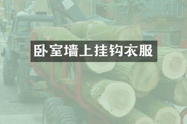 卧室墙上挂钩衣服