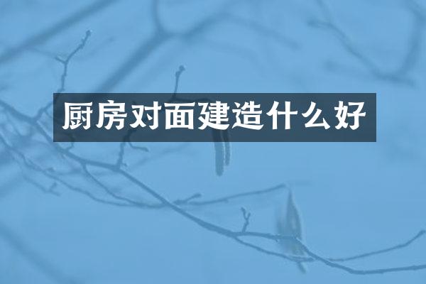 厨房对面建造什么好