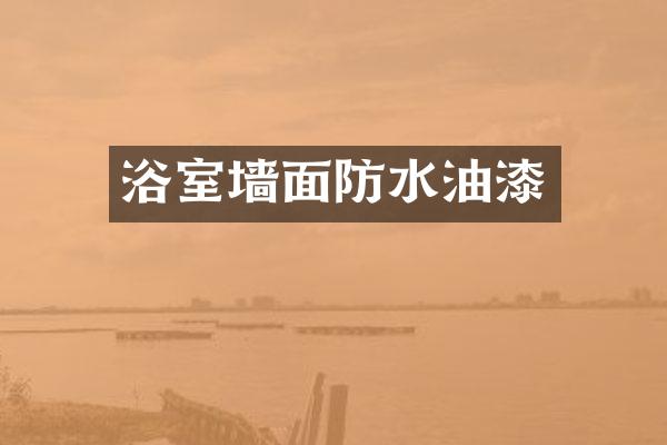 浴室墙面防水油漆
